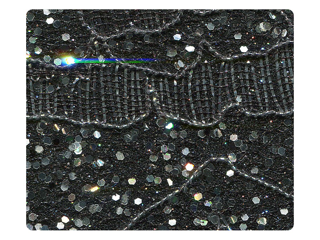 05 Lace Black & Silver Scale Fabric Swatch