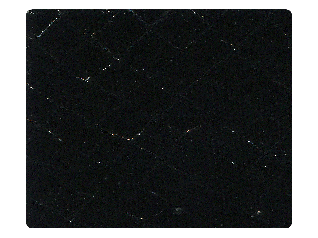 222 Snake Black Fabric Swatch