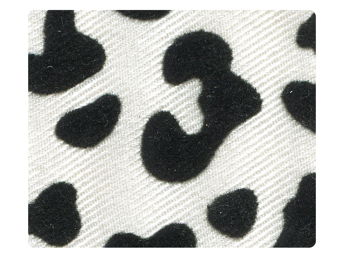 248 White Leopard Fabric Swatch