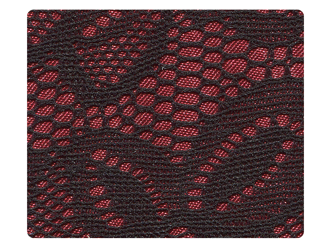 257 Red & Black Lace Fabric Swatch