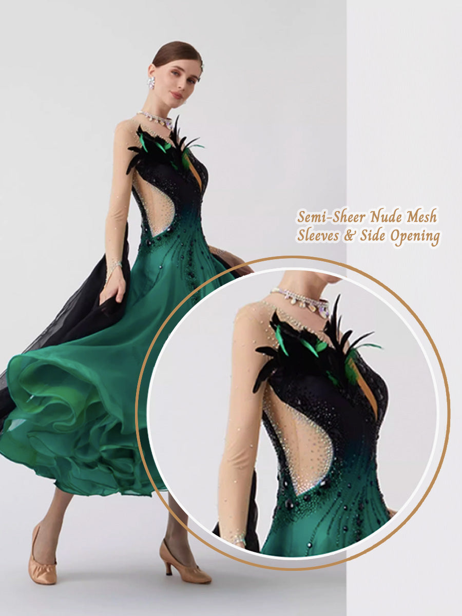 Custom Standard Ballroom Dance Dress with Feathers and Rhinestones