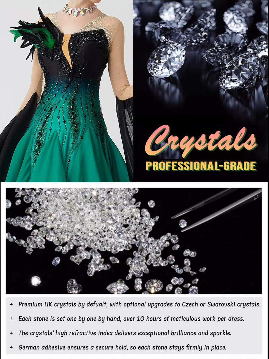 Custom Standard Ballroom Dance Dress with Feathers and Rhinestones