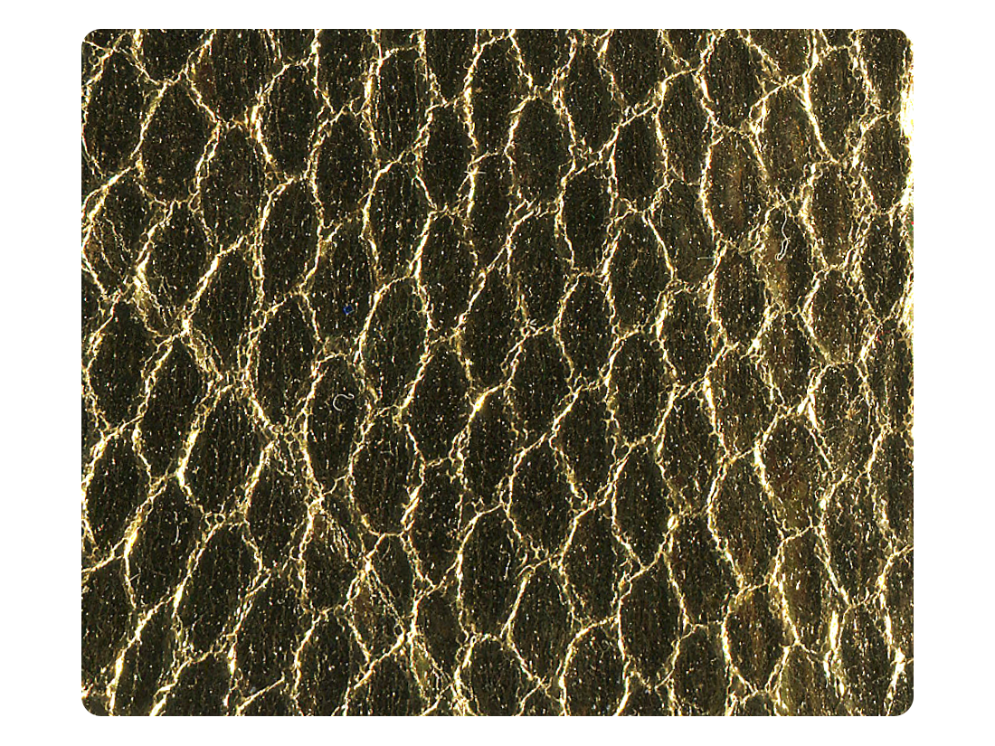 106 Snake Gold Satin Fabric Swatch