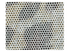 125 Illusion Leopard Fabric Swatch