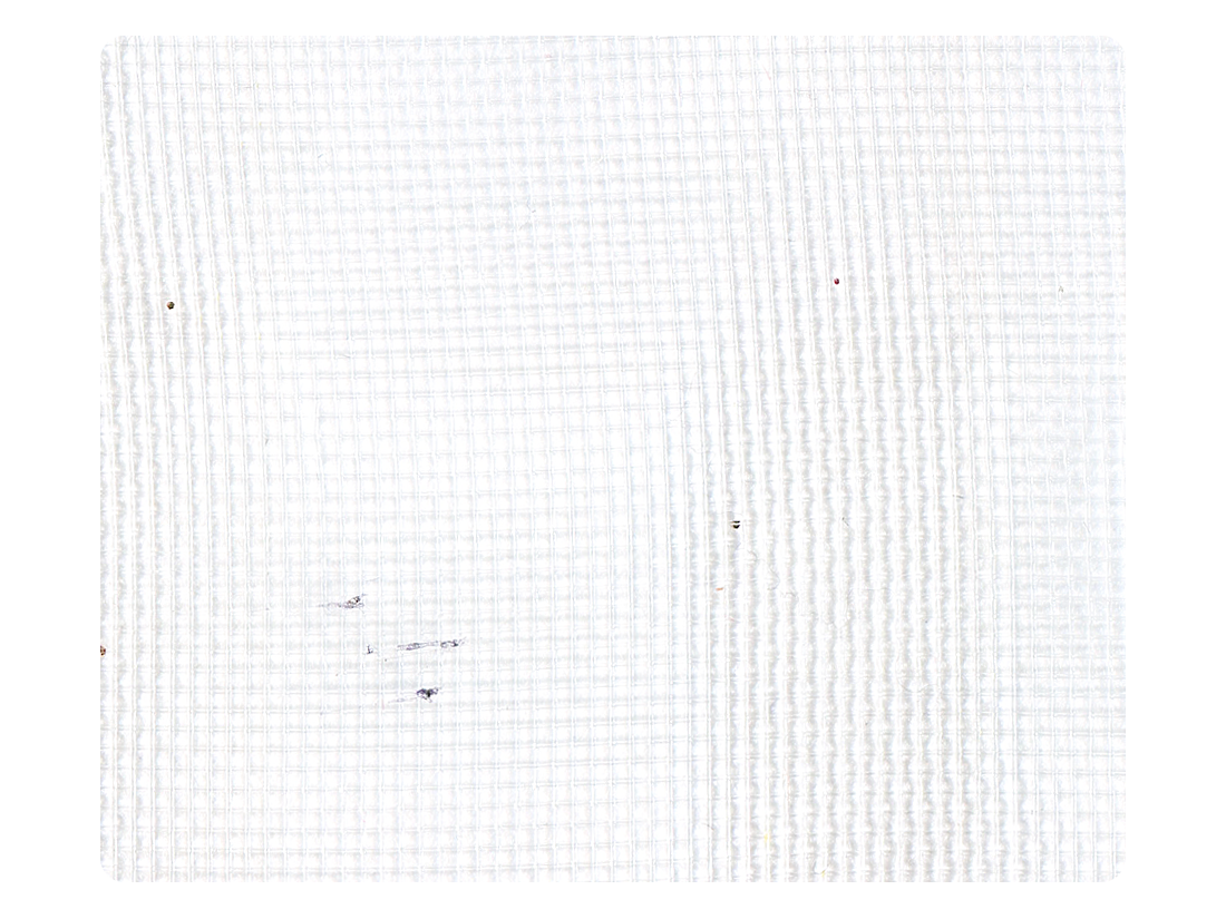 161 White Mesh Fabric Swatch