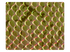 186 Snake Champagne PU Fabric Swatch