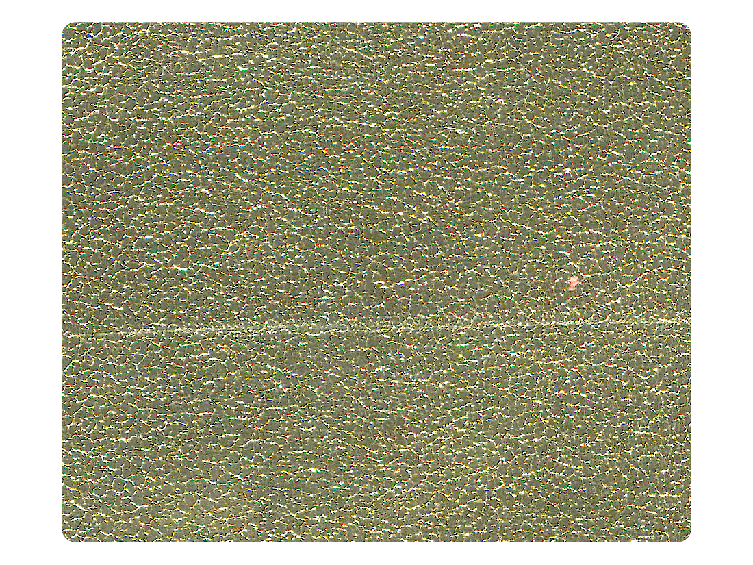 191 Light Gold PU Fabric Swatch