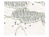 194 Lace White Stardust Fabric Swatch