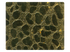 204 Ultra Gold Fabric Swatch