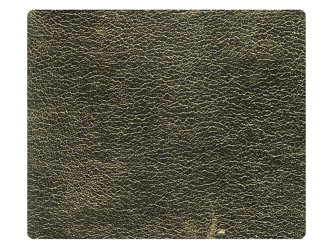 209 Flesh Gold PU Fabric Swatch