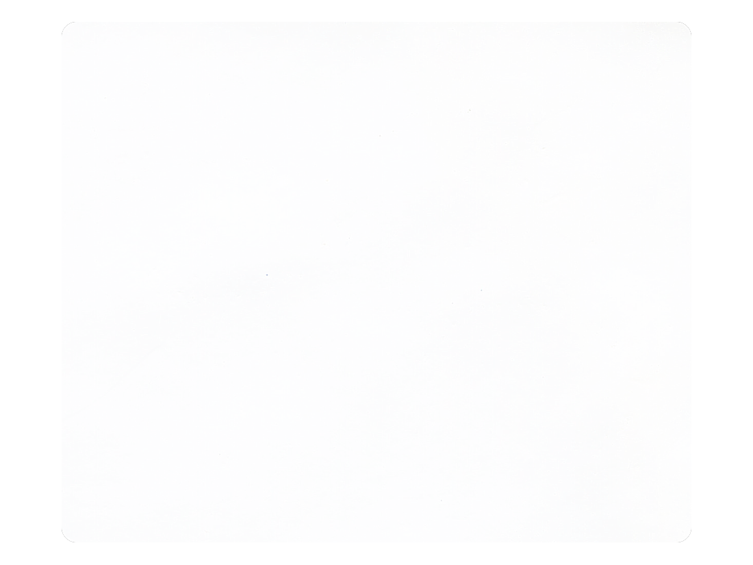 210 White Patent PU Fabric Swatch