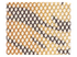 240 Cheetah Sparklenet Fabric Swatch