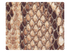 242 Brown Snake PU Fabric Swatch