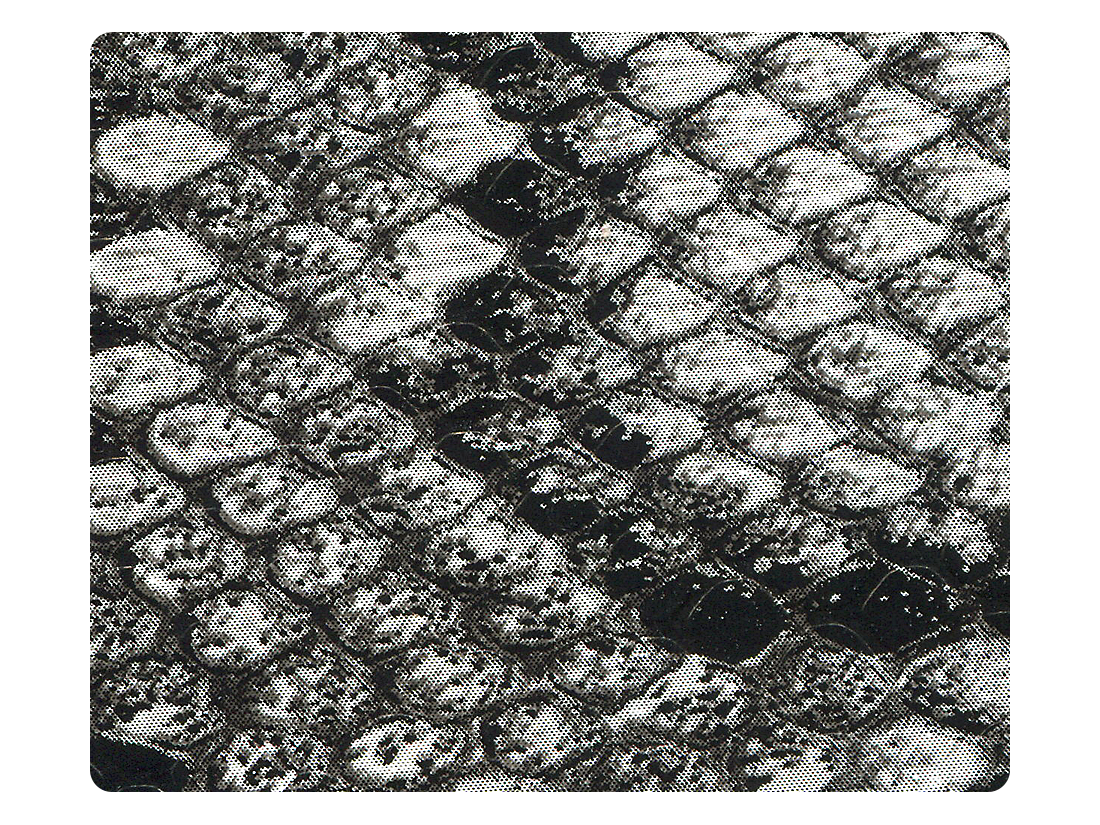 243 Black Snake PU Fabric Swatch