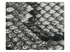 243 Black Snake PU Fabric Swatch
