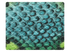 245 Blue & Green Snake PU Fabric Swatch