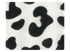 248 White Leopard Fabric Swatch