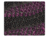 255 Pink_Black Fabric Swatch
