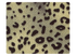259 Snow Leopard Satin Fabric Swatch