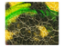290 Yellow_Green PU Fabric Swatch