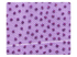 305 Purple Mesh Fabric Swatch