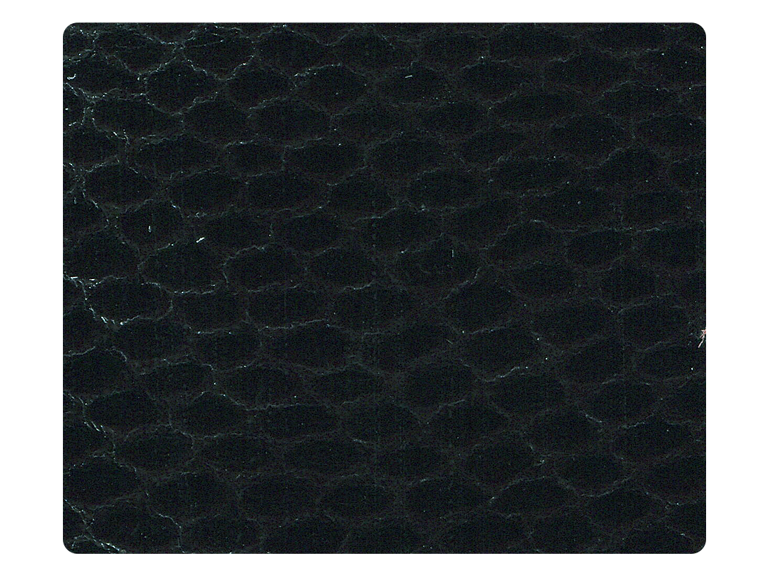 89 Snake Black Fabric Swatch