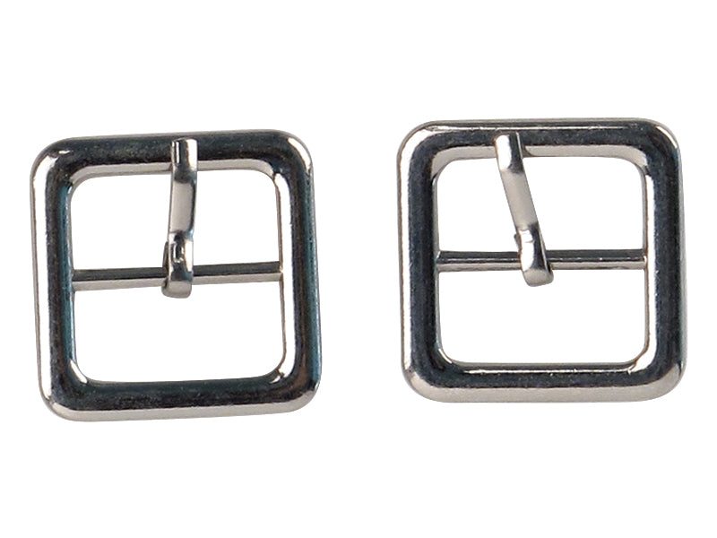 Shoe Buckles in silver color