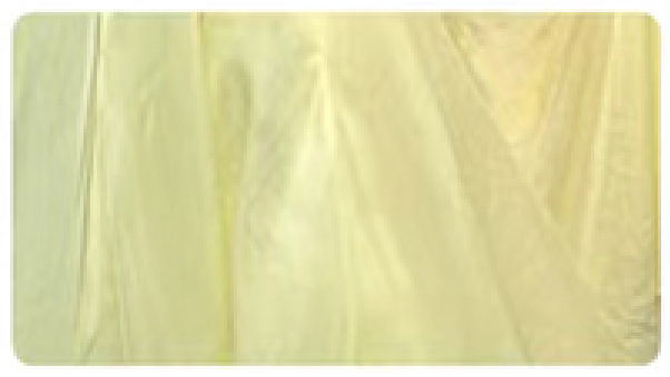 C-005 Light Yellow